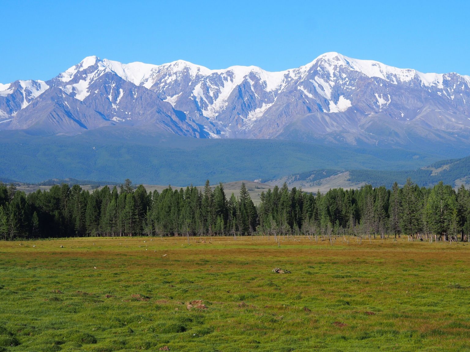 Республика алтай курай фото